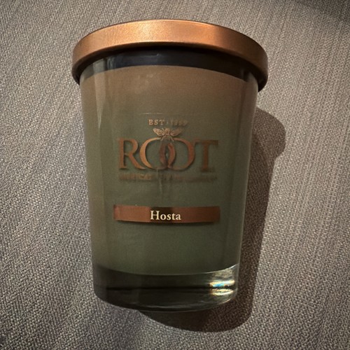 Root beeswax candle hosta - root,
